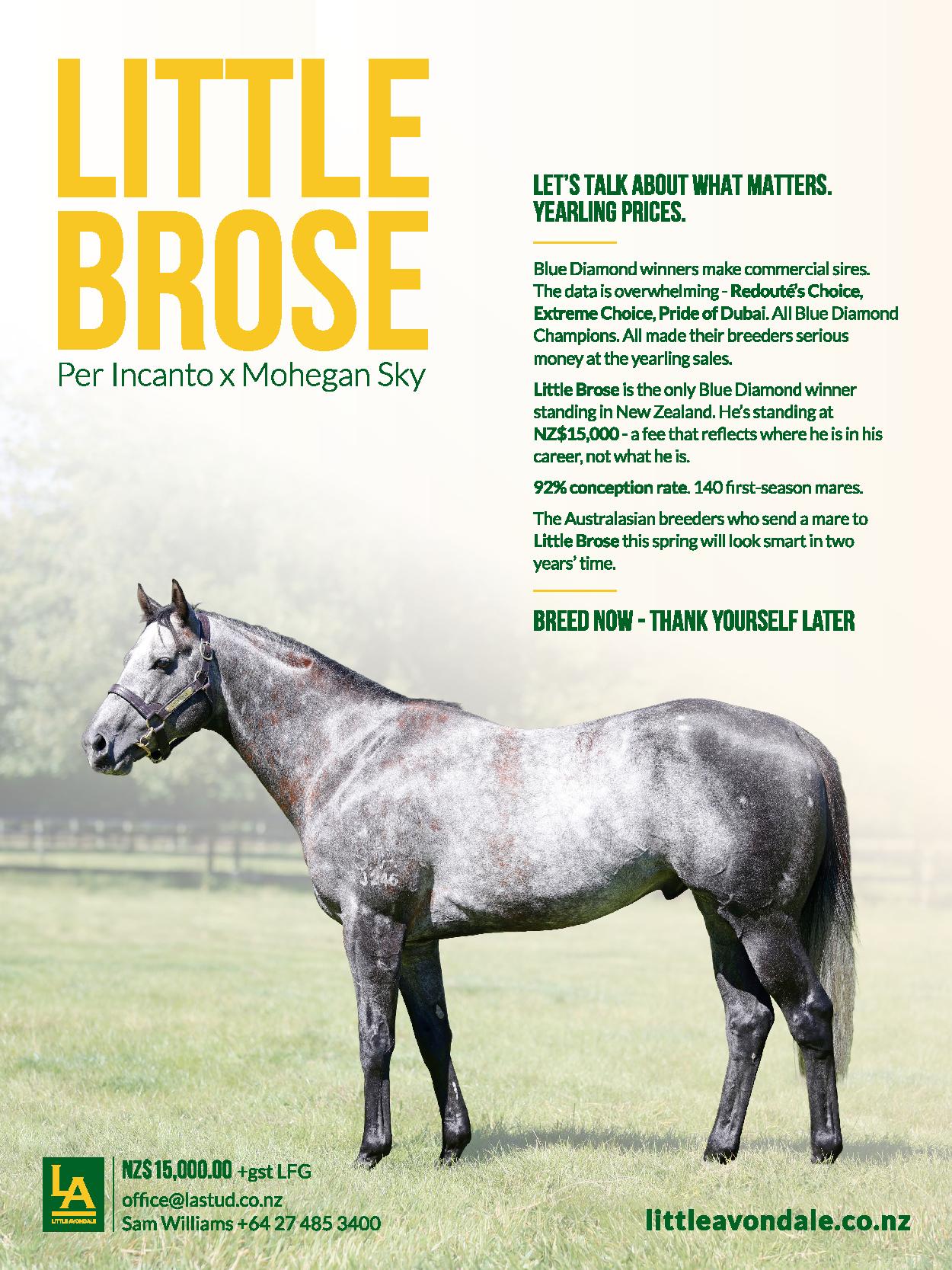 Owners Bulletin