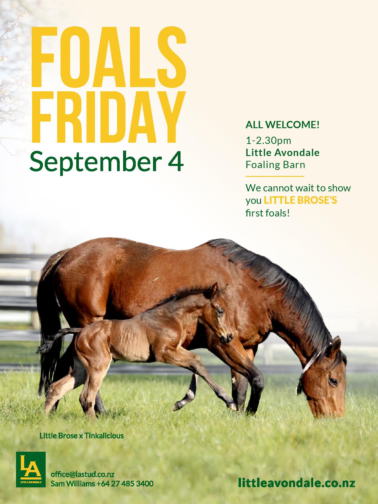 Owners Bulletin