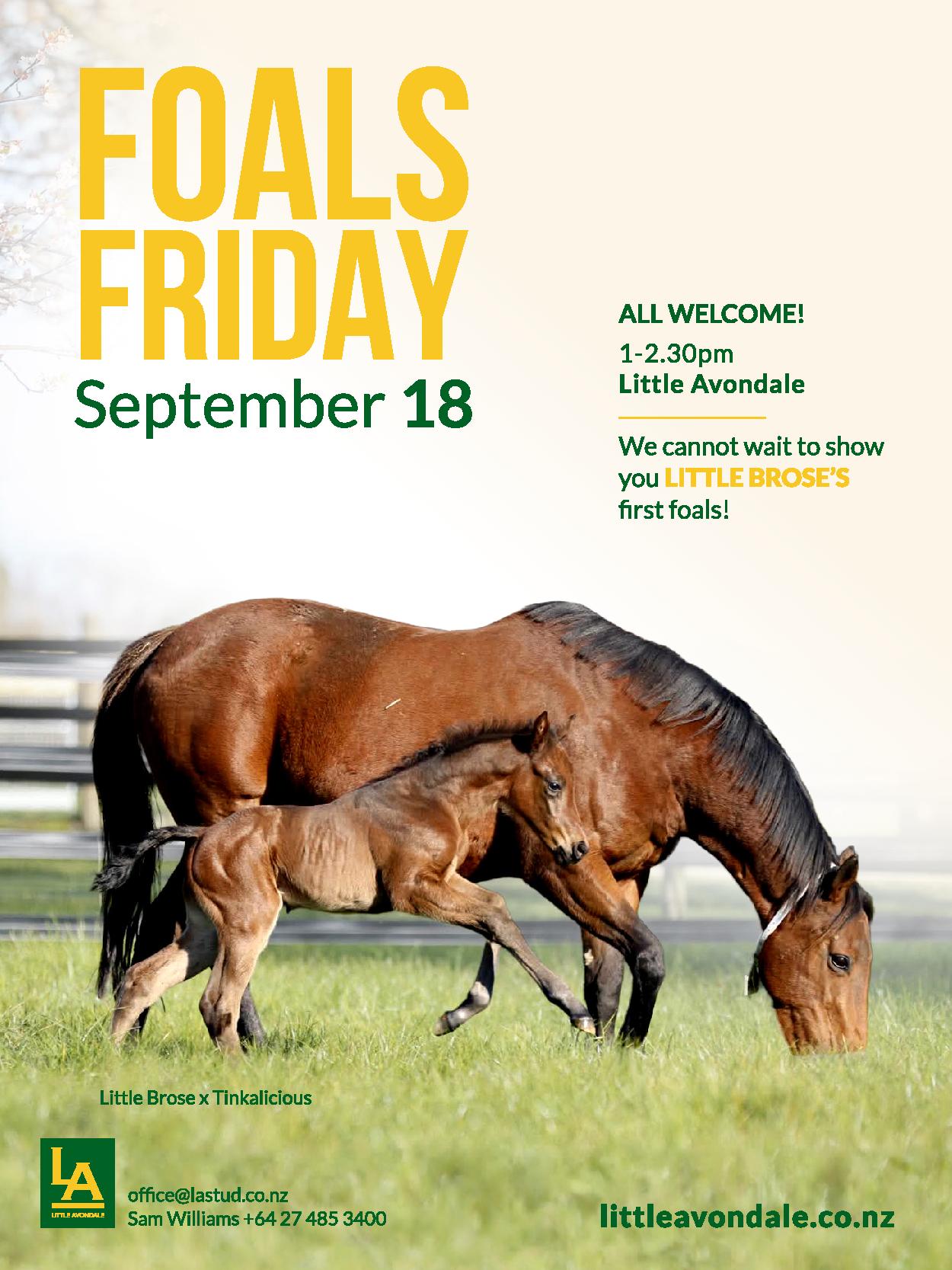 Owners Bulletin