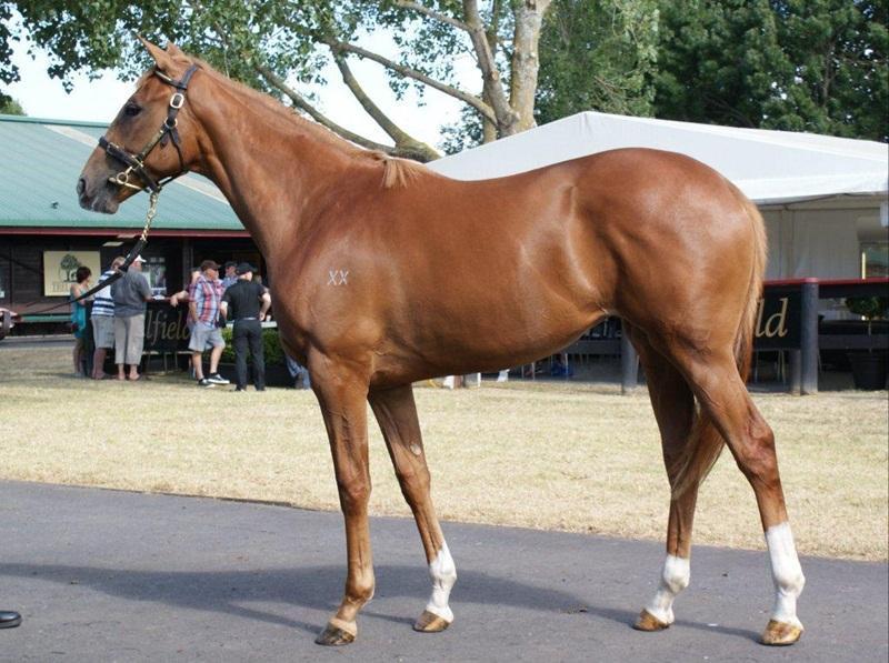 Thewayyouare - Affinity