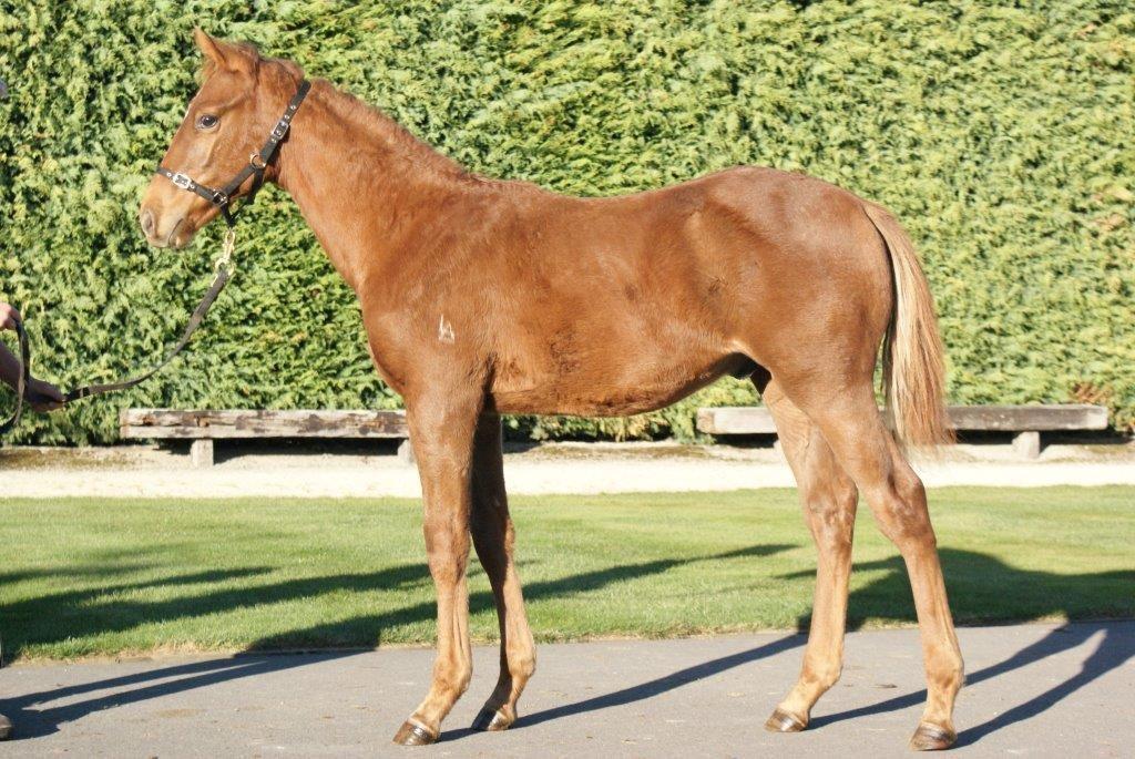 Per Incanto - Wistful