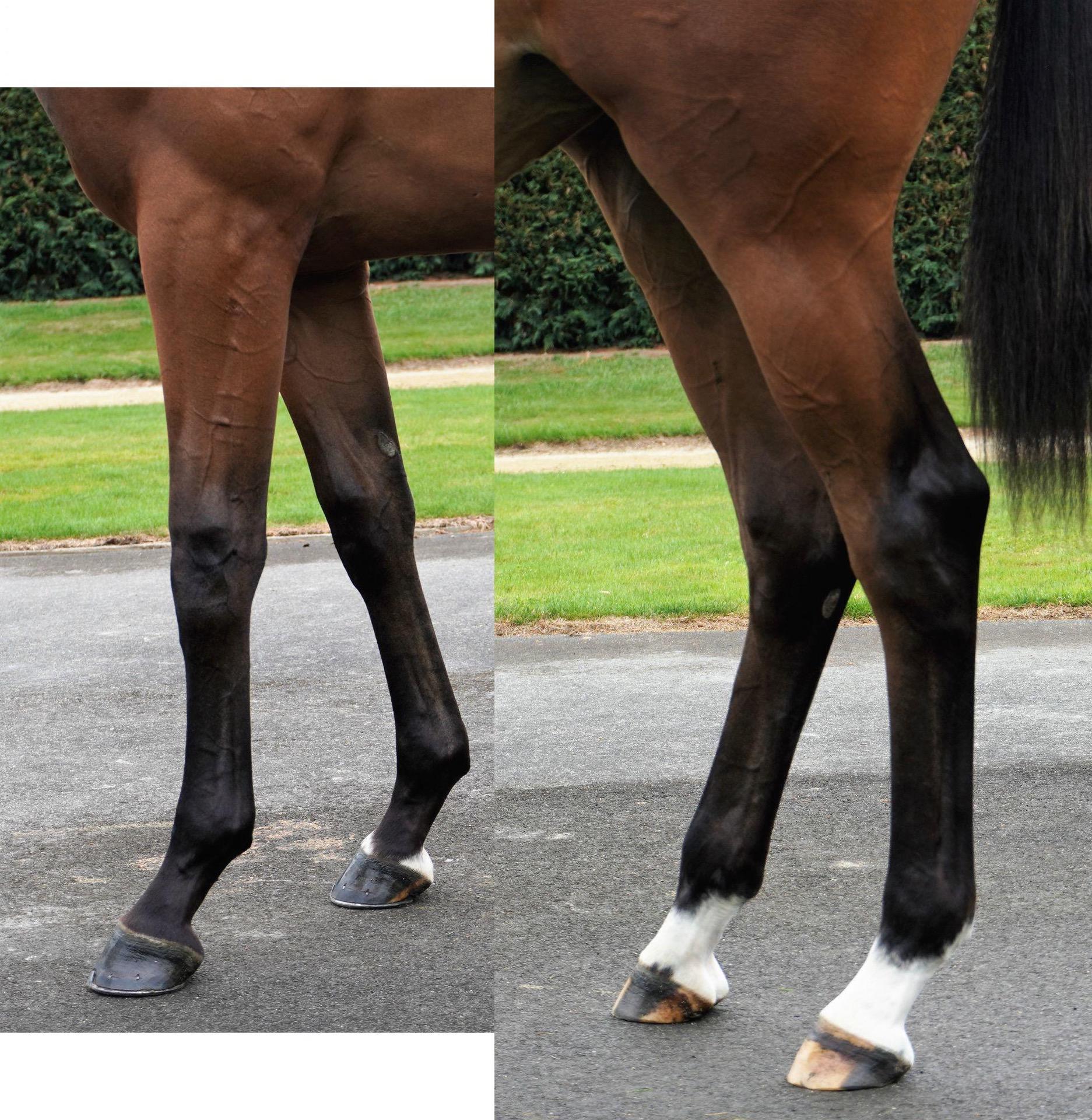 LOT 600 Charm Spirt - Pirinitele