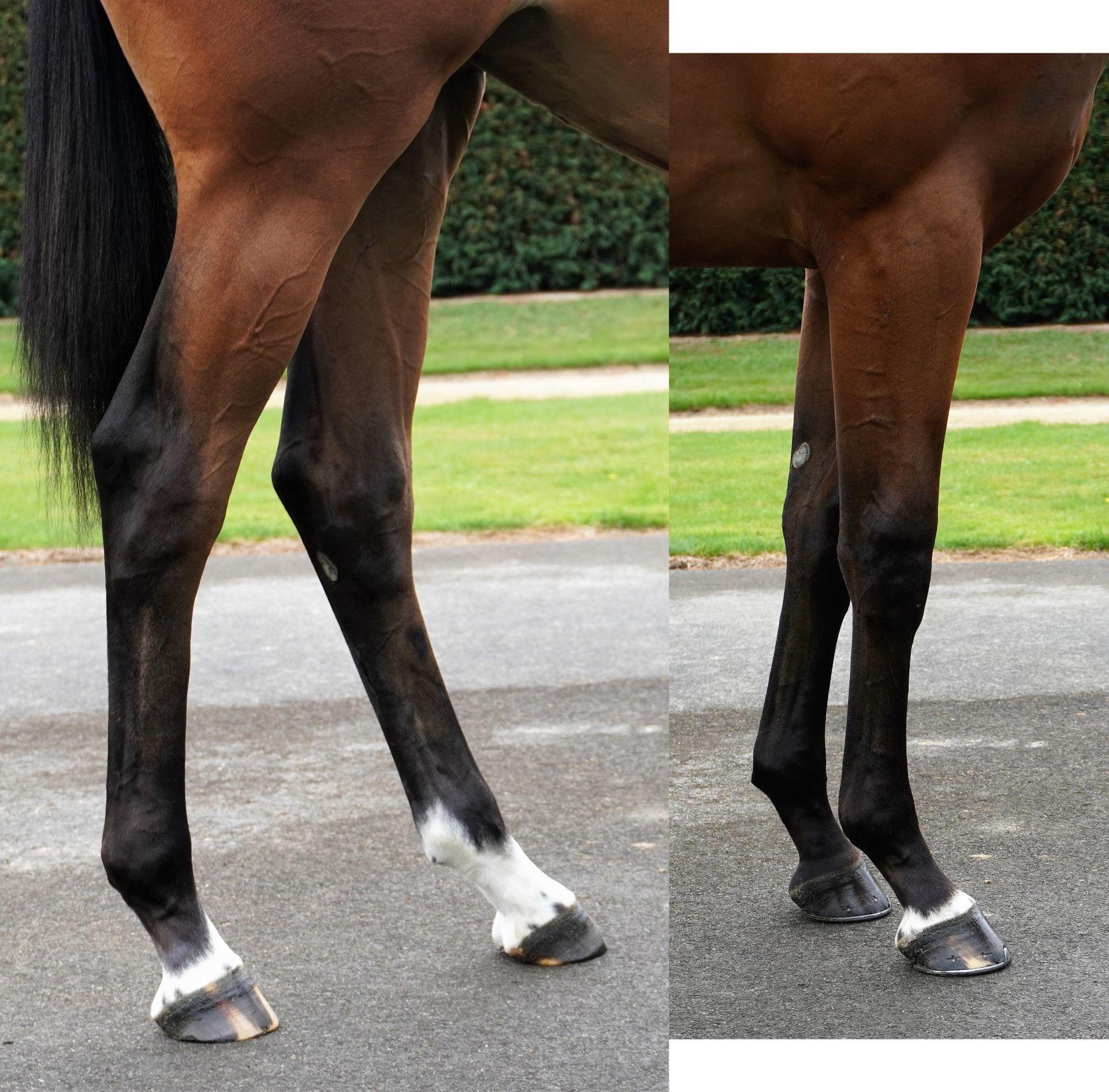 LOT 600 Charm Spirt - Pirinitele