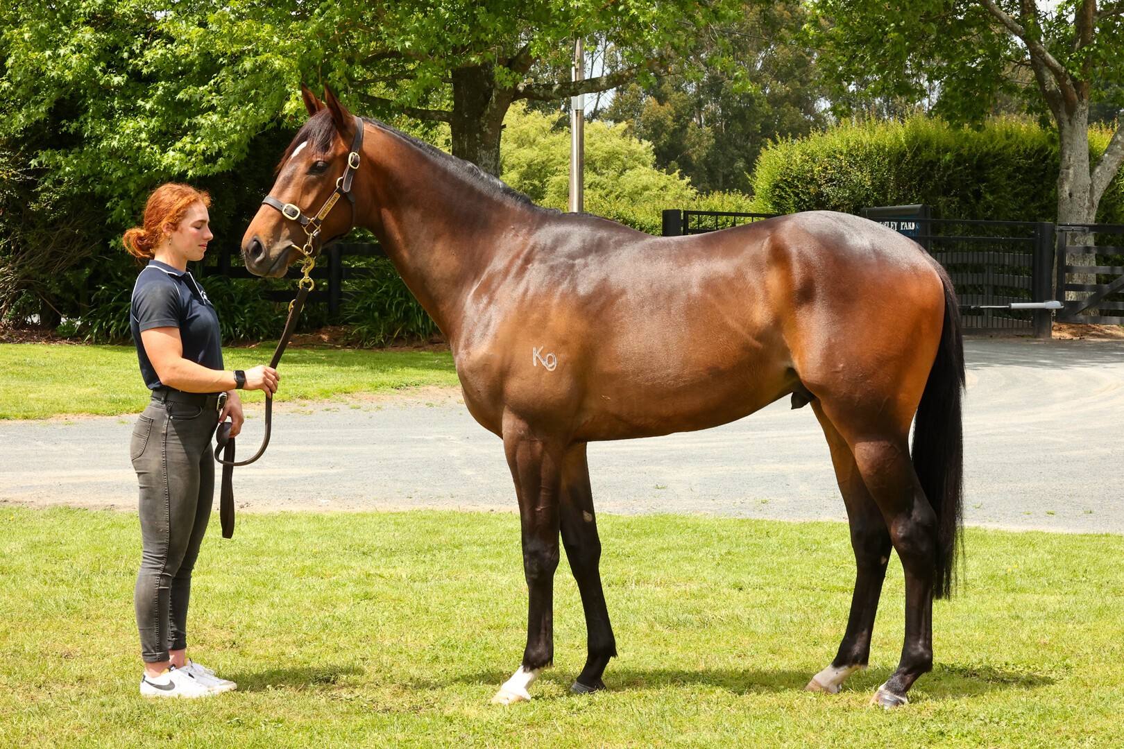 Miss Bluebell - Per Incanto