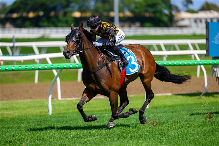 Castillian Doubles Down at Doomben