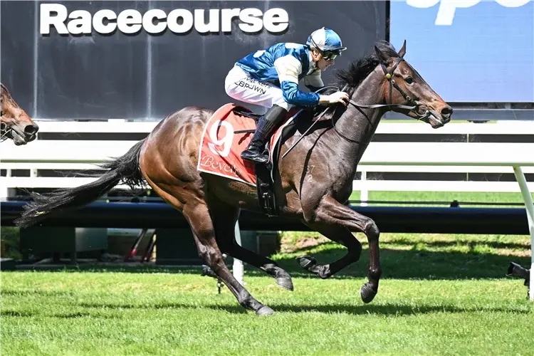 Young Star On The Rise