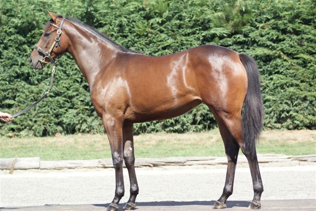 Karaka 2009