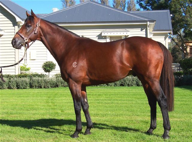 Trainers Incentive at Masterton RC