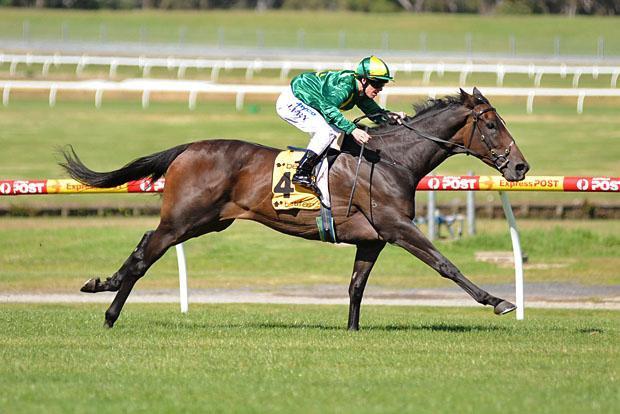 Per Incanto Arrives And Pedigree Updates For Karaka