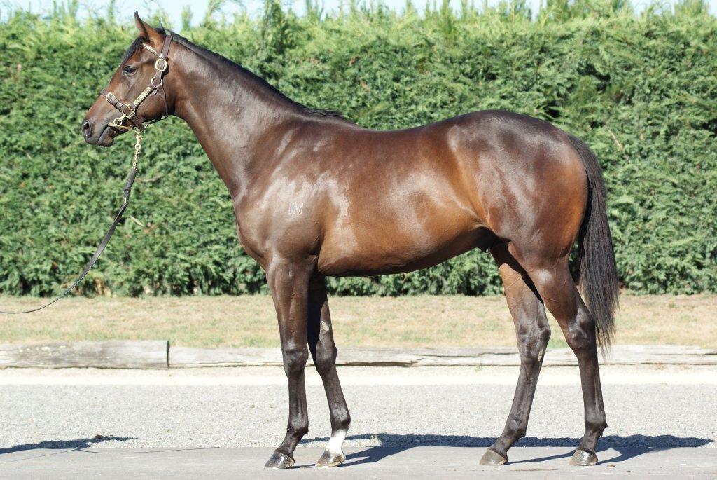 Karaka Select 2011 Review