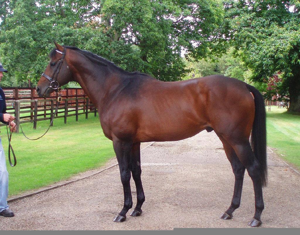 Little Avondale Newsletter December 2010