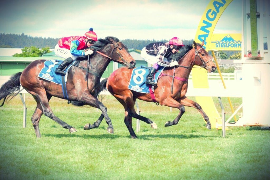 gallopingsept2014.jpg