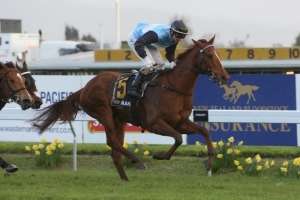 Group 1 Winner For ZED Double Cause For Celebration