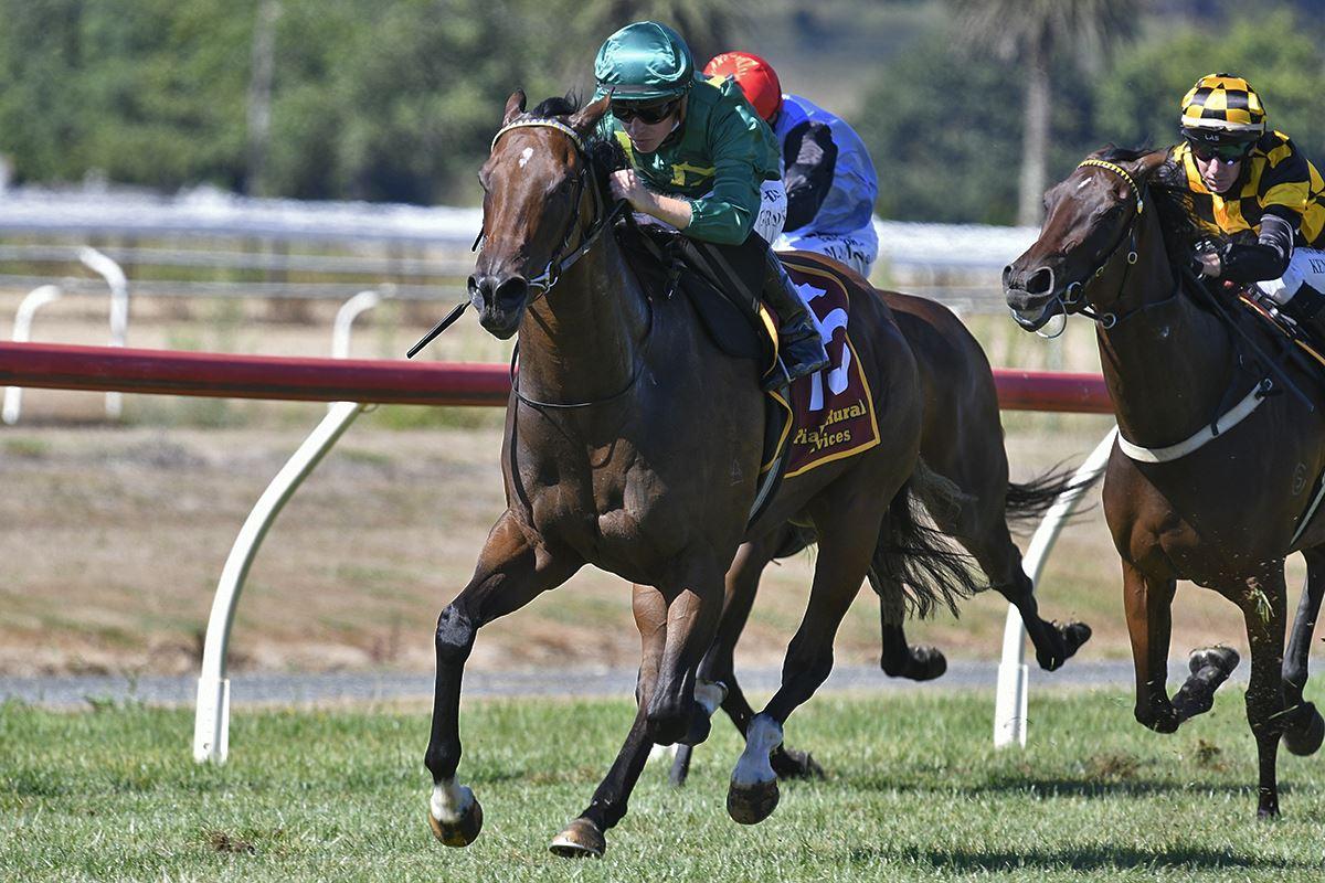 Time Test Back in Style