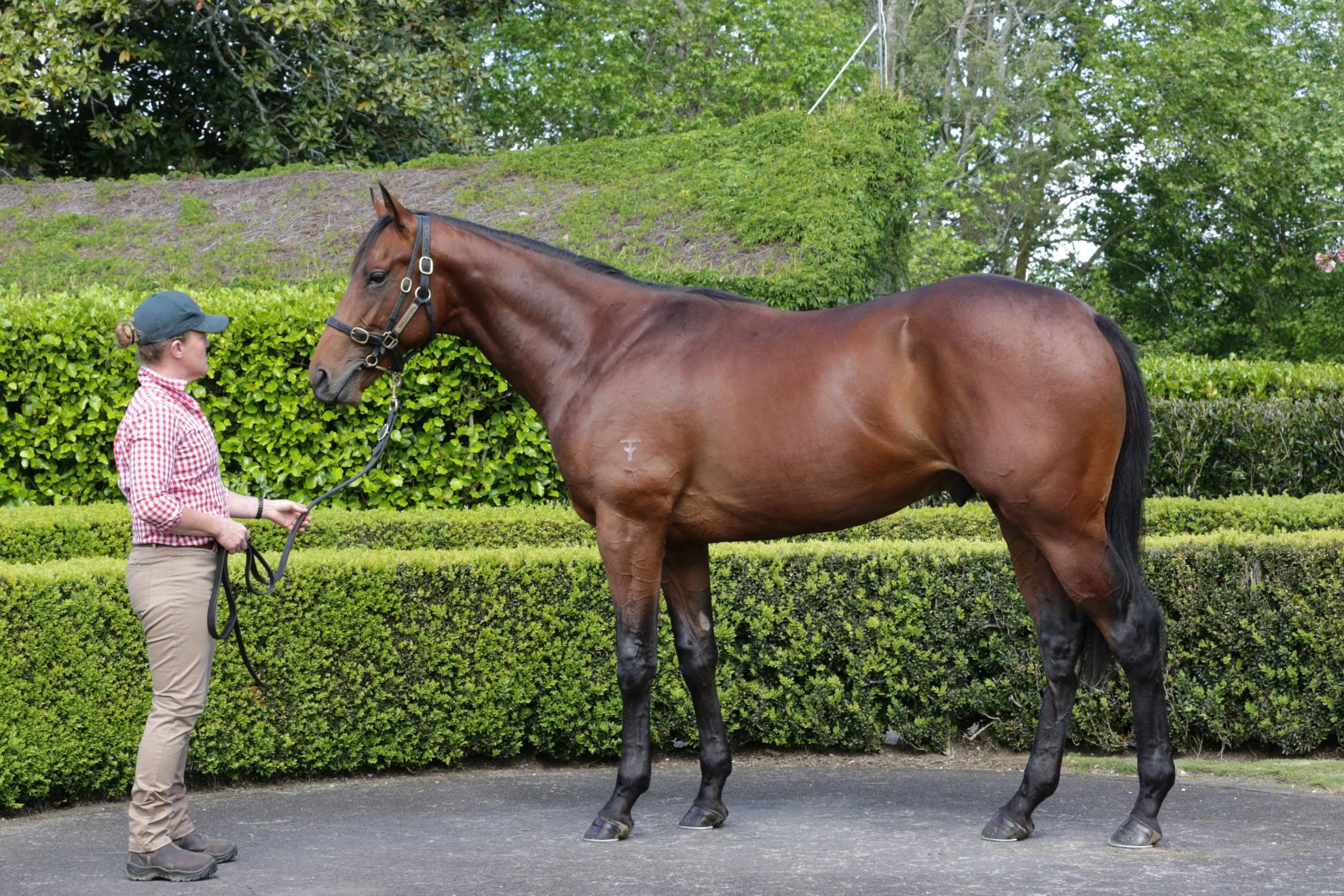 Thunder in Motion is Poetry in Motion at Trentham
