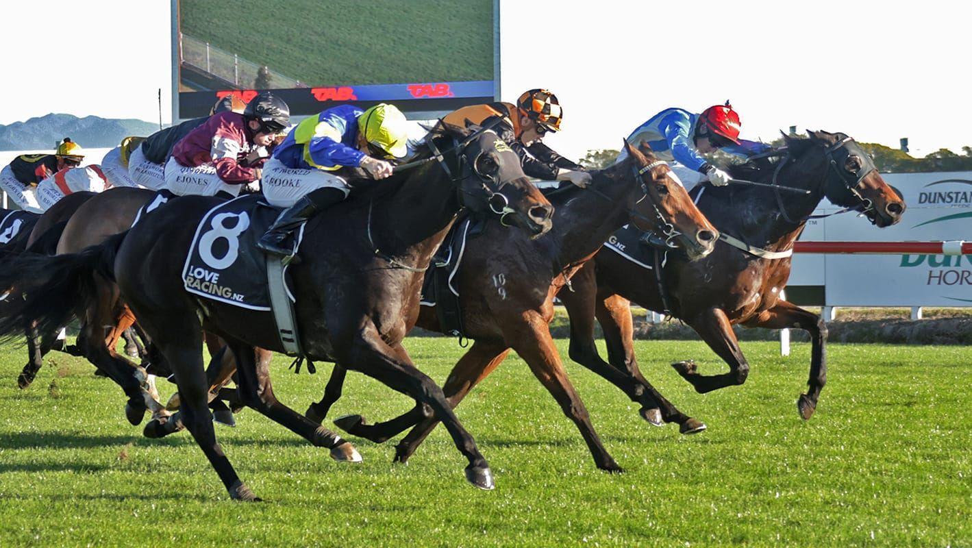 Star Performance at Te Rapa