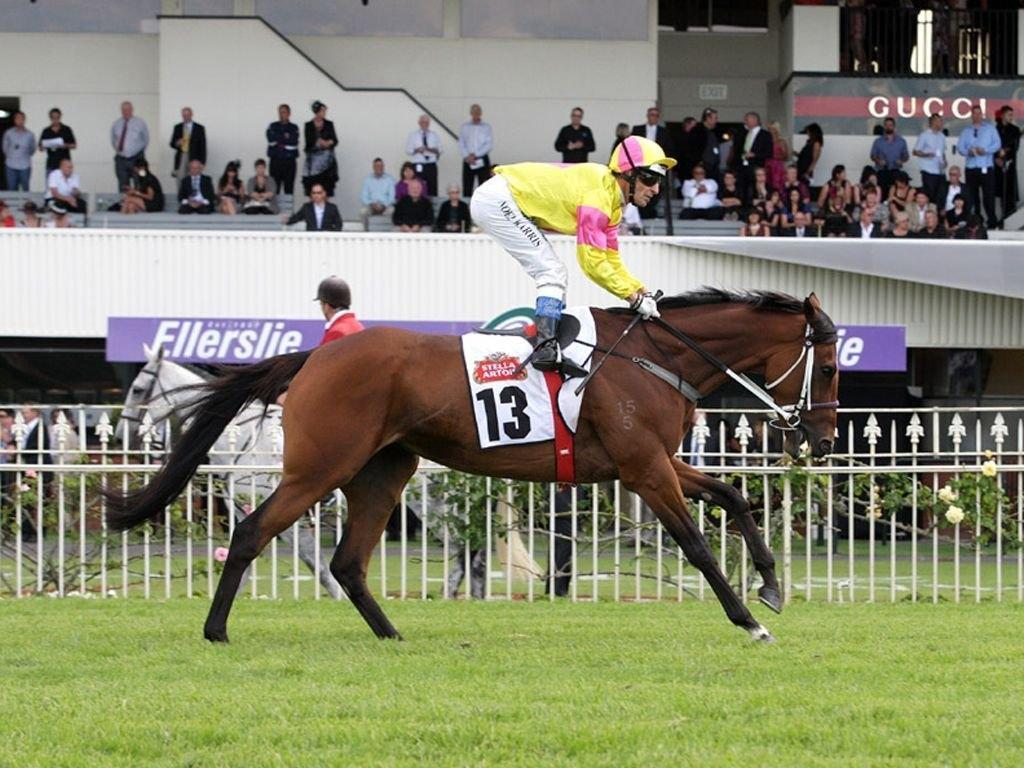 Timely Return to Top Form