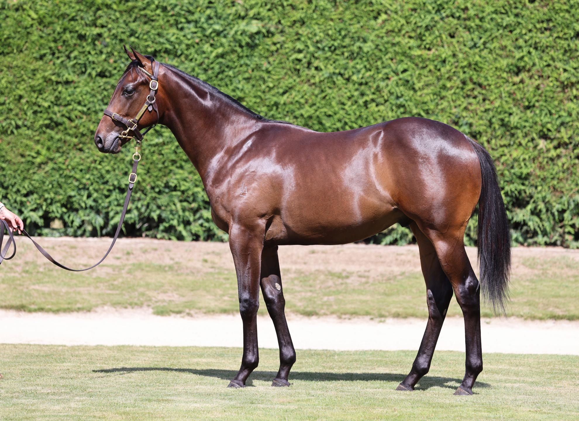 Top Family Makes Mark Again